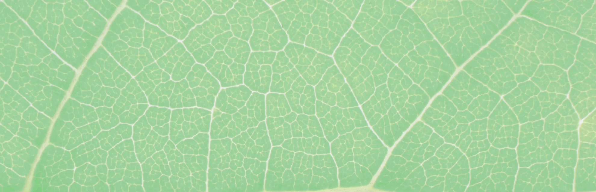 about us breadcrumb hero